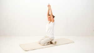 ky-satkriya-roll-krake